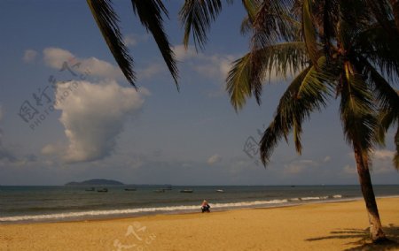 海树椰风三亚湾图片