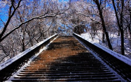 清福陵东陵公园景观图片