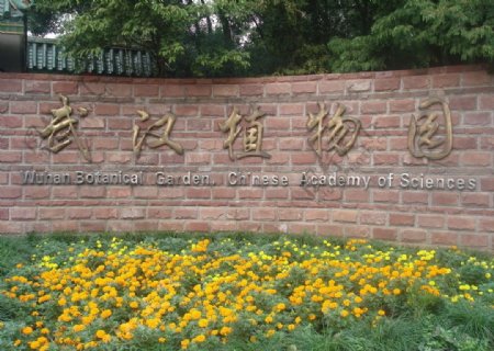 武汉植物园图片