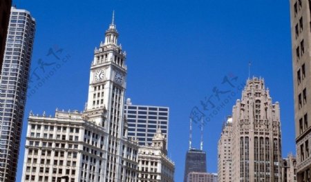 芝加哥箭牌口香糖總部大廈图片