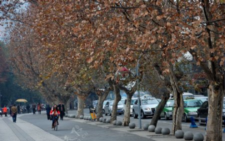 成都人民公园外冬街景图片