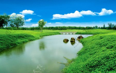 高尔夫球场风景图片