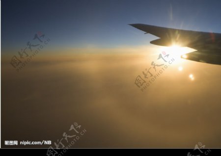 阳光下飞机图片