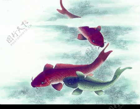 中国画鱼图片