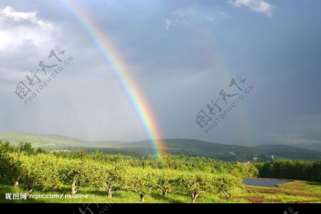 果園上空的彩虹图片