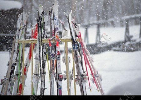 雪山滑雪雪橇板图片