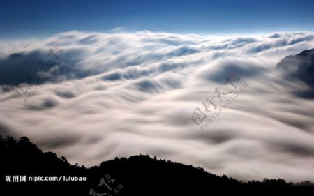 台湾南投合欢山的云雾图片