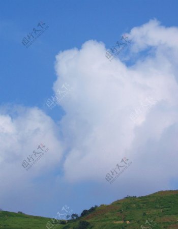 山和云的对话图片