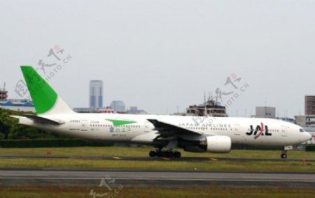 日本航空ECO仕様塗装图片