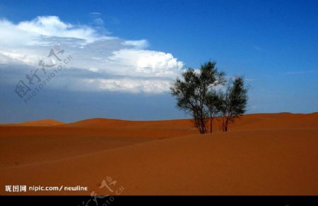 騰格里沙漠图片