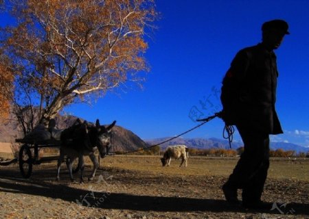 新疆喀什地区风光人文图片