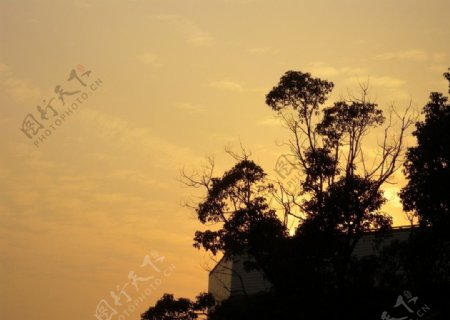 上海风景夕阳图片