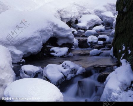 白色冬景融化的河流雪图片