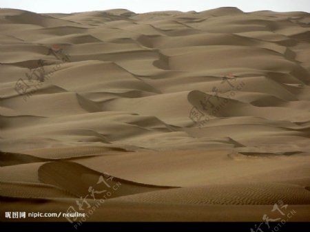 大沙丘图片