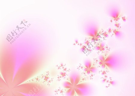 柔粉日式花语图片