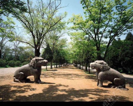 自然风景图片