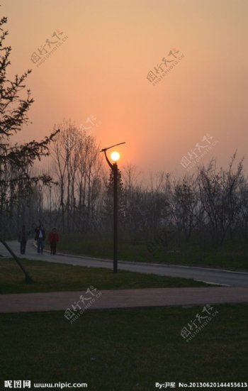 太阳灯图片