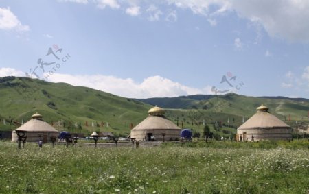 新疆美景蒙古包图片