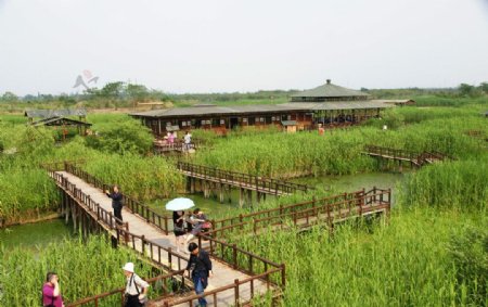 下渚湖湿地公园图片