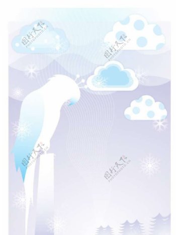 冬季鹦鹉鸟类背景图片