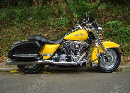 摩托车motorcycle图片
