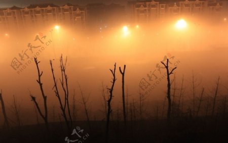 夜雾的街道图片