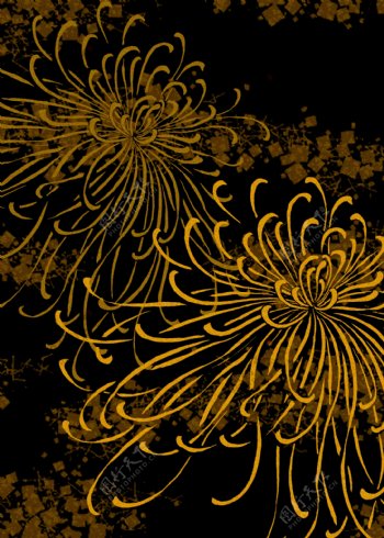 日式黑底金线菊花底纹图片