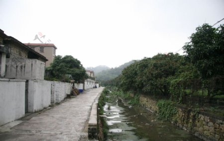 村旁的河涌图片