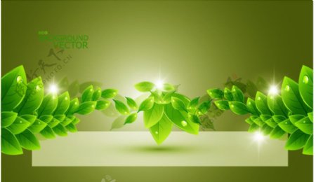 动感绿叶水珠水滴环保背景图片