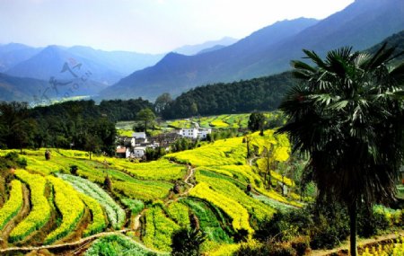 太行山风景图片