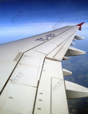 飞机翅膀图片
