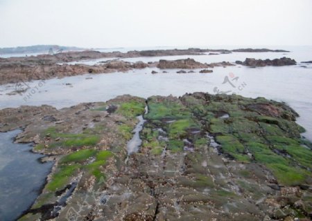 青岛海滩图片