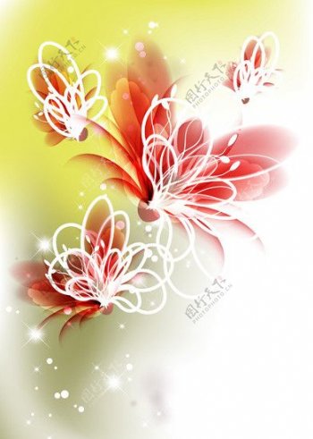 梦幻花卉花朵背景图片