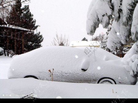 汽车覆盖的雪图片