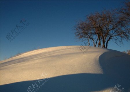 黄昏下的雪景图片