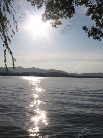 西湖湖畔图片