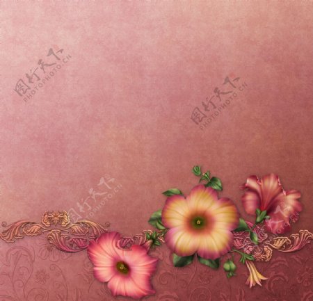 欧式花纹花卉图片