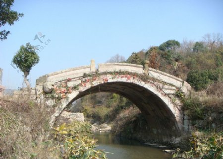 宁海西岙石拱桥图片