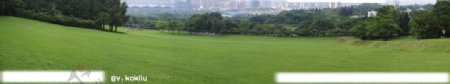 中山市紫马岭公园滑草场俯瞰全景图图片