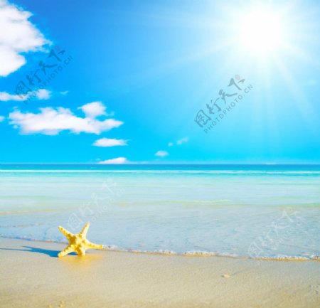 夏天沙滩海星碧图片