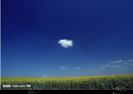 田园上蓝天白云图片