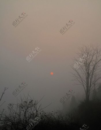 黄昏迷雾图片