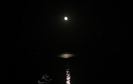 威海海月亮图片