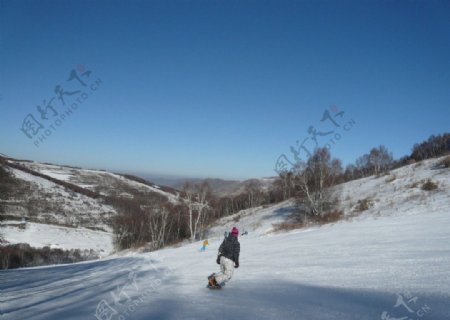 滑雪雪场雪道图片