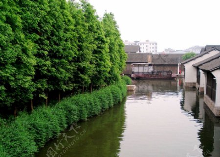 春风又绿江南岸图片