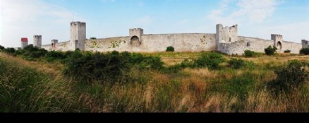城堡围墙前的杂草丛图片