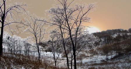 冬季山林落日图片