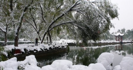 冬雪湖边图片
