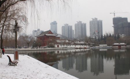 兴庆公园冬景图片