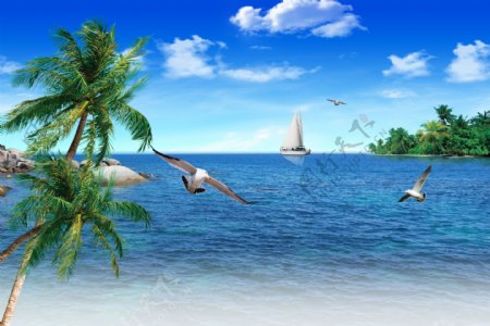 蓝天白云大海椰树图片